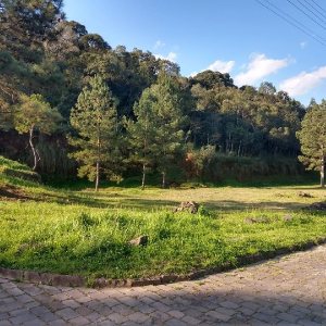 Terreno, no bairro São Giácomo em Caxias do Sul para Comprar