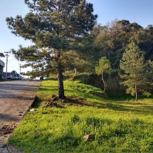 Terreno, no bairro São Giácomo em Caxias do Sul para Comprar