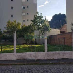 Terreno com 528m², no bairro Cruzeiro em Caxias do Sul para Alugar