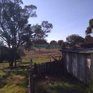 Chácara com 50m², 2 dormitórios, no bairro Criúva em Caxias do Sul para Comprar