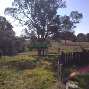 Chácara com 50m², 2 dormitórios, no bairro Criúva em Caxias do Sul para Comprar