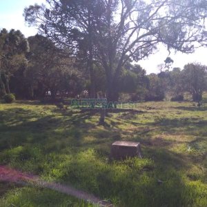 Chácara com 50m², 2 dormitórios, no bairro Criúva em Caxias do Sul para Comprar