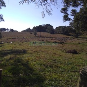 Chácara com 50m², 2 dormitórios, no bairro Criúva em Caxias do Sul para Comprar