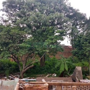 Terreno, no bairro Lourdes em Caxias do Sul para Comprar