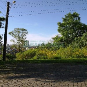 Terreno, no bairro São Virgílio em Caxias do Sul para Comprar