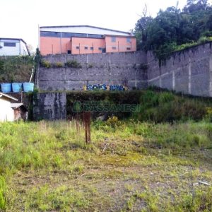 Terreno com 1261m², no bairro Sagrada Família em Caxias do Sul para Alugar ou Comprar