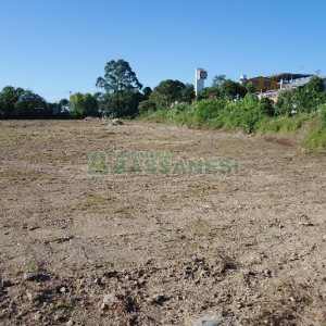 Terreno com 37510m², no bairro Ana Rech em Caxias do Sul para Comprar