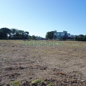 Terreno com 37510m², no bairro Ana Rech em Caxias do Sul para Comprar