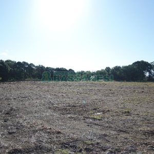 Terreno com 37510m², no bairro Ana Rech em Caxias do Sul para Comprar