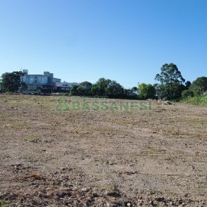 Terreno com 37510m², no bairro Ana Rech em Caxias do Sul para Comprar