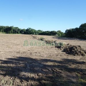 Terreno com 37510m², no bairro Ana Rech em Caxias do Sul para Comprar