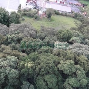 Apartamento com 78m², 2 dormitórios, 1 vaga, no bairro Panazzolo em Caxias do Sul para Alugar