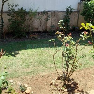 Casa com 289m², 3 dormitórios, 2 vagas, no bairro Medianeira em Caxias do Sul para Comprar