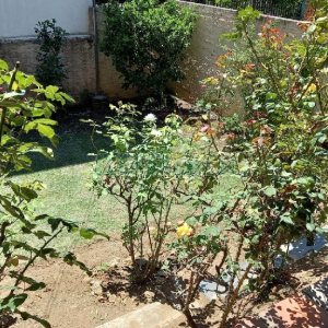 Casa com 289m², 3 dormitórios, 2 vagas, no bairro Medianeira em Caxias do Sul para Comprar