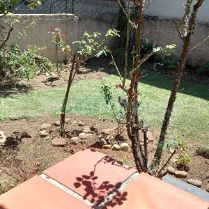 Casa com 289m², 3 dormitórios, 2 vagas, no bairro Medianeira em Caxias do Sul para Comprar