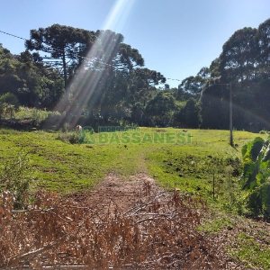Terreno com 22554m², no bairro Pioneiro em Caxias do Sul para Comprar