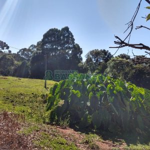 Terreno com 22554m², no bairro Pioneiro em Caxias do Sul para Comprar