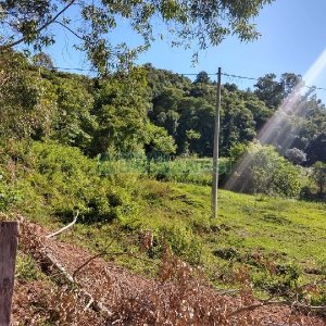Terreno com 22554m², no bairro Pioneiro em Caxias do Sul para Comprar