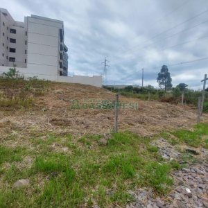 Terreno com 378m², no bairro Sanvitto em Caxias do Sul para Alugar