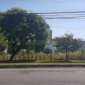 Terreno, no bairro Kayser em Caxias do Sul para Comprar