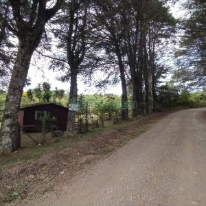 Chácara, no bairro Monte Bérico em Caxias do Sul para Comprar