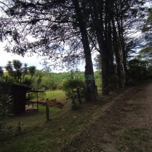 Chácara, no bairro Monte Bérico em Caxias do Sul para Comprar