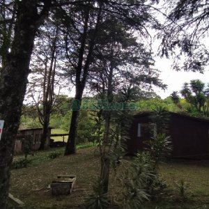 Chácara, no bairro Monte Bérico em Caxias do Sul para Comprar