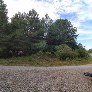 Chácara, no bairro Monte Bérico em Caxias do Sul para Comprar