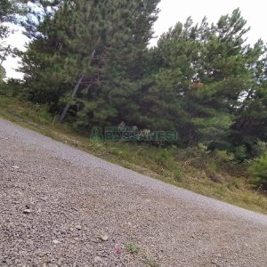 Chácara, no bairro Monte Bérico em Caxias do Sul para Comprar