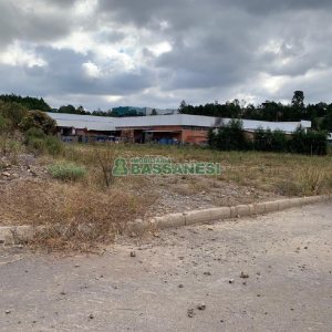 Terreno, no bairro Desvio Rizzo em Caxias do Sul para Comprar