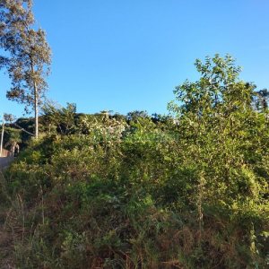 Terreno com 9483m², no bairro São Caetano em Caxias do Sul para Comprar