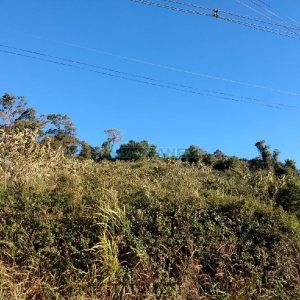 Terreno com 9483m², no bairro São Caetano em Caxias do Sul para Comprar