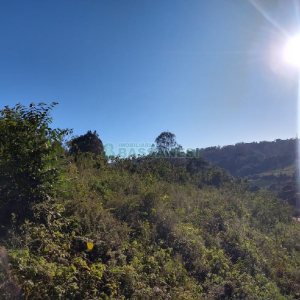 Terreno com 9483m², no bairro São Caetano em Caxias do Sul para Comprar