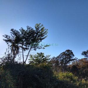 Terreno com 9483m², no bairro São Caetano em Caxias do Sul para Comprar