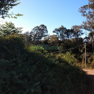 Terreno com 9483m², no bairro São Caetano em Caxias do Sul para Comprar
