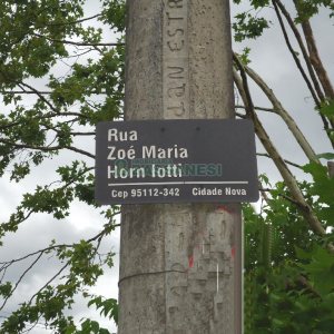 Terreno com 25000m², no bairro Cidade Nova em Caxias do Sul para Alugar