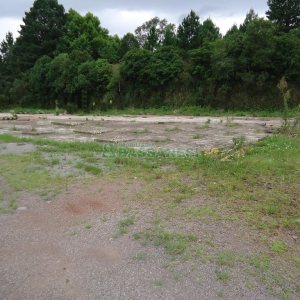 Terreno com 25000m², no bairro Cidade Nova em Caxias do Sul para Alugar