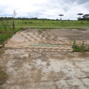 Terreno com 25000m², no bairro Cidade Nova em Caxias do Sul para Alugar