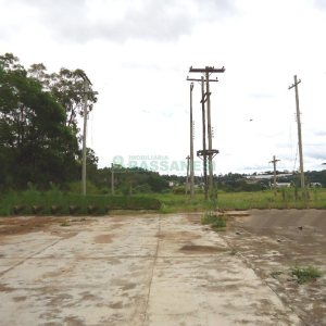 Terreno com 25000m², no bairro Cidade Nova em Caxias do Sul para Alugar