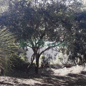 Casa com 80m², 2 dormitórios, 1 vaga, no bairro Planalto em Caxias do Sul para Comprar