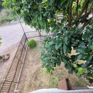 Casa com 130m², 3 dormitórios, 2 vagas, no bairro Santa Lúcia em Caxias do Sul para Alugar