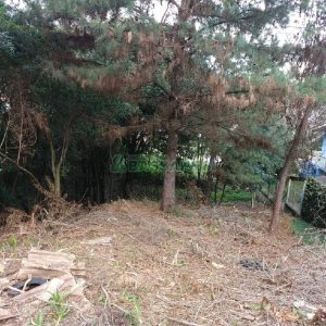 Terreno com 681m², no bairro Petrópolis em Caxias do Sul para Comprar