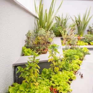 Apto Mobiliado com 40m², 1 dormitório, 1 vaga, no bairro Centro em Caxias do Sul para Comprar