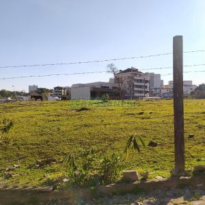Terreno com 1500m², no bairro Cruzeiro em Caxias do Sul para Alugar