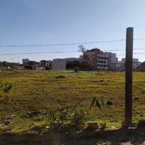 Terreno com 1500m², no bairro Cruzeiro em Caxias do Sul para Alugar