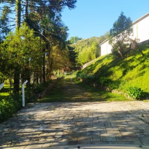 Pavilhão com 5220m², no bairro Ana Rech em Caxias do Sul para Comprar