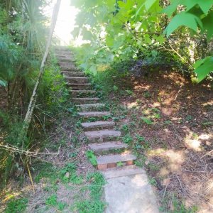 Pavilhão com 5220m², no bairro Ana Rech em Caxias do Sul para Comprar