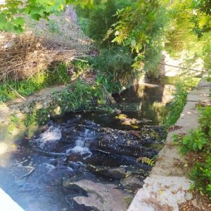 Pavilhão com 5220m², no bairro Ana Rech em Caxias do Sul para Comprar