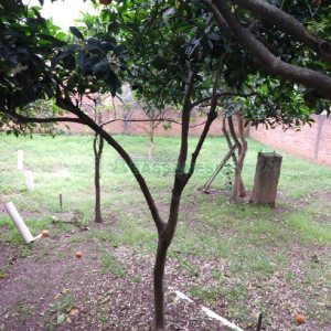 Casa com 80m², 5 dormitórios, 2 vagas, no bairro Universitário em Caxias do Sul para Comprar