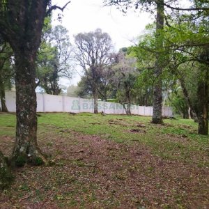 Terreno, no bairro Sagrada Família em Caxias do Sul para Comprar